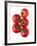 Cherry Tomatoes-Mark Sykes-Framed Photographic Print