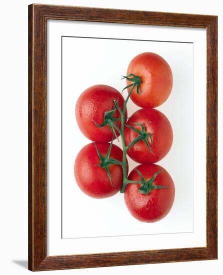 Cherry Tomatoes-Mark Sykes-Framed Photographic Print