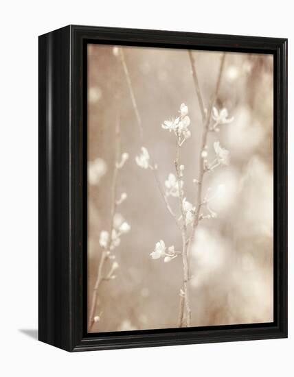 Cherry Tree Blossom, Abstract Soft Color Floral Background-Anna Omelchenko-Framed Stretched Canvas