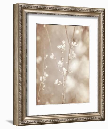 Cherry Tree Blossom, Abstract Soft Color Floral Background-Anna Omelchenko-Framed Art Print