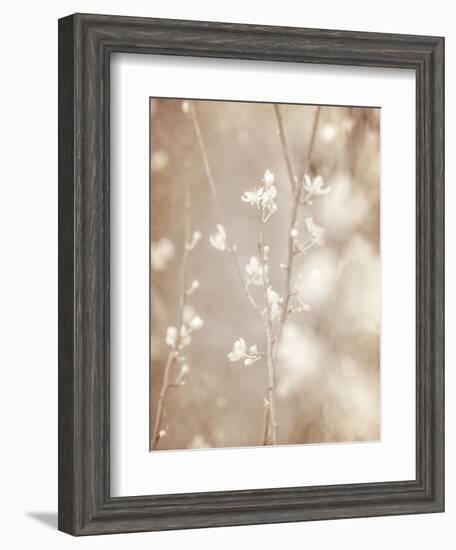 Cherry Tree Blossom, Abstract Soft Color Floral Background-Anna Omelchenko-Framed Art Print