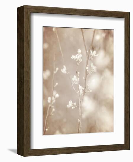 Cherry Tree Blossom, Abstract Soft Color Floral Background-Anna Omelchenko-Framed Art Print