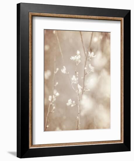 Cherry Tree Blossom, Abstract Soft Color Floral Background-Anna Omelchenko-Framed Art Print