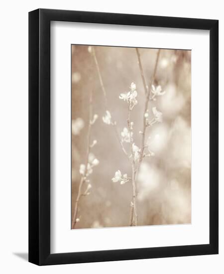 Cherry Tree Blossom, Abstract Soft Color Floral Background-Anna Omelchenko-Framed Art Print