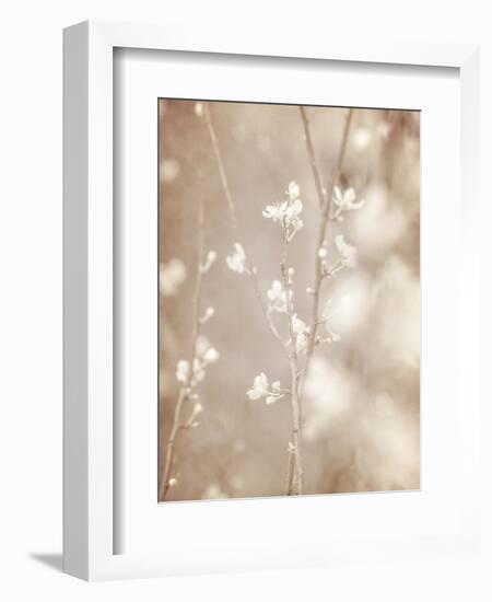 Cherry Tree Blossom, Abstract Soft Color Floral Background-Anna Omelchenko-Framed Art Print