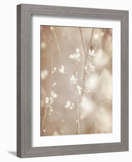 Cherry Tree Blossom, Abstract Soft Color Floral Background-Anna Omelchenko-Framed Art Print