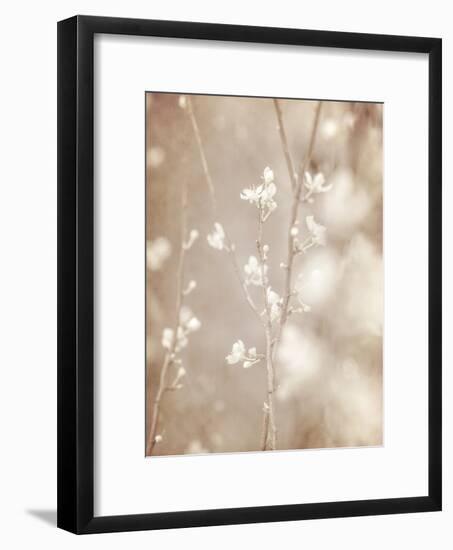 Cherry Tree Blossom, Abstract Soft Color Floral Background-Anna Omelchenko-Framed Art Print