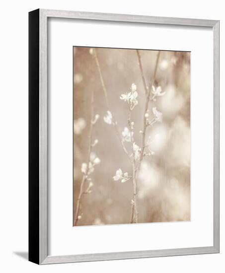 Cherry Tree Blossom, Abstract Soft Color Floral Background-Anna Omelchenko-Framed Art Print