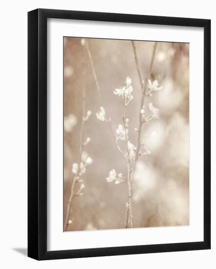 Cherry Tree Blossom, Abstract Soft Color Floral Background-Anna Omelchenko-Framed Art Print