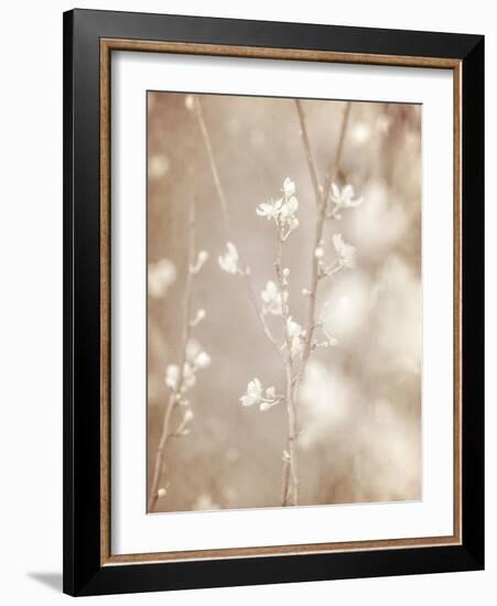 Cherry Tree Blossom, Abstract Soft Color Floral Background-Anna Omelchenko-Framed Art Print