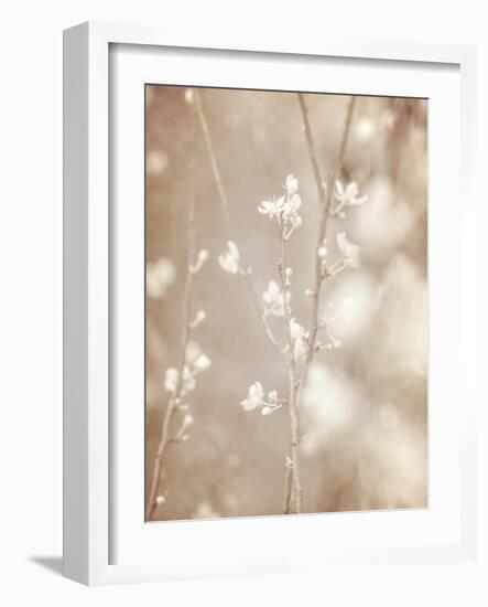 Cherry Tree Blossom, Abstract Soft Color Floral Background-Anna Omelchenko-Framed Art Print