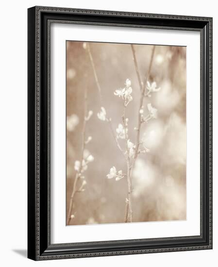 Cherry Tree Blossom, Abstract Soft Color Floral Background-Anna Omelchenko-Framed Art Print