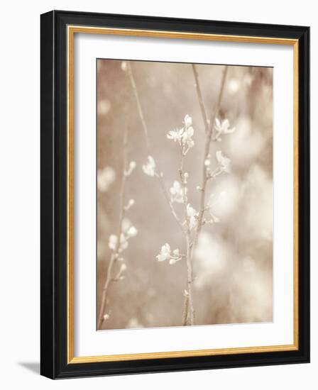 Cherry Tree Blossom, Abstract Soft Color Floral Background-Anna Omelchenko-Framed Art Print