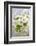 Cherry Tree, Branch, Detail, Blooms, Tree-Herbert Kehrer-Framed Photographic Print