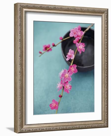 Cherry Tree Branch-Amelie Vuillon-Framed Art Print