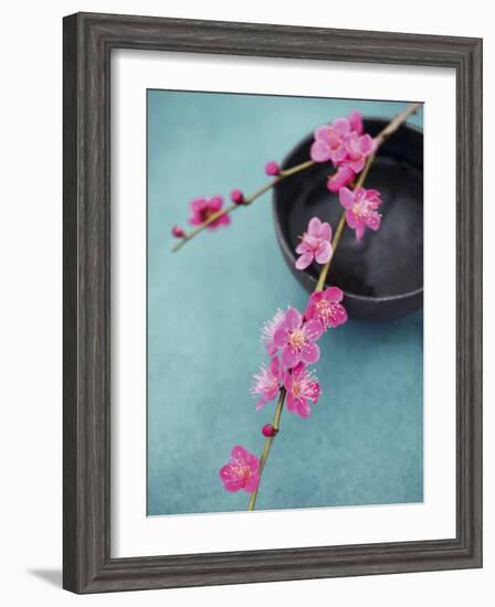 Cherry Tree Branch-Amelie Vuillon-Framed Art Print