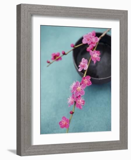 Cherry Tree Branch-Amelie Vuillon-Framed Art Print