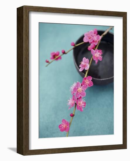 Cherry Tree Branch-Amelie Vuillon-Framed Art Print