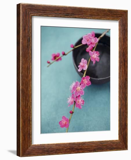 Cherry Tree Branch-Amelie Vuillon-Framed Art Print