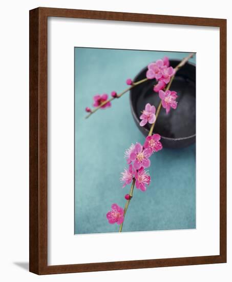 Cherry Tree Branch-Amelie Vuillon-Framed Art Print