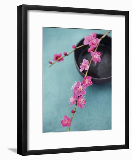 Cherry Tree Branch-Amelie Vuillon-Framed Art Print