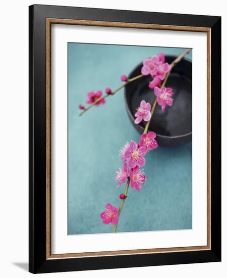 Cherry Tree Branch-Amelie Vuillon-Framed Art Print