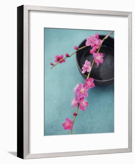 Cherry Tree Branch-Amelie Vuillon-Framed Art Print