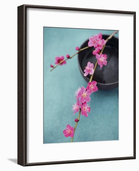 Cherry Tree Branch-Amelie Vuillon-Framed Art Print