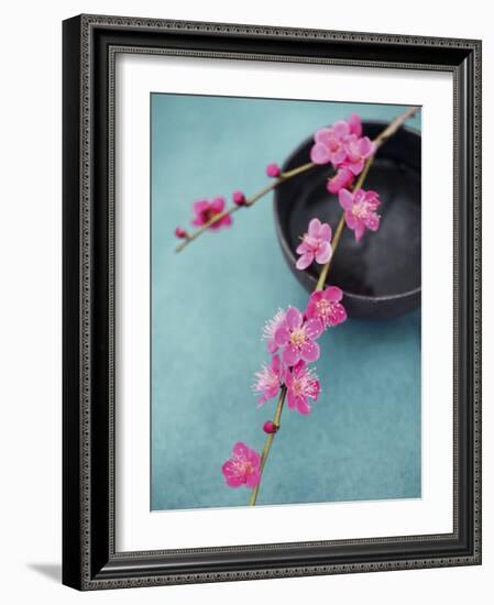 Cherry Tree Branch-Amelie Vuillon-Framed Art Print