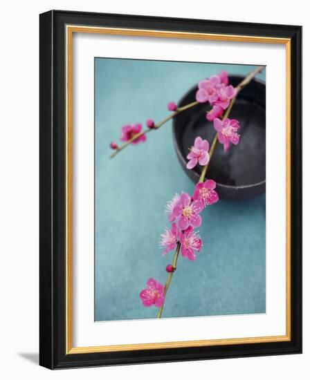 Cherry Tree Branch-Amelie Vuillon-Framed Art Print