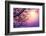 Cherry Tree Flower Blossom over Purple Sunset-Anna Omelchenko-Framed Photographic Print