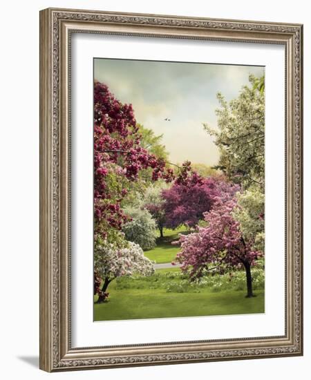 Cherry Tree Grove-Jessica Jenney-Framed Giclee Print