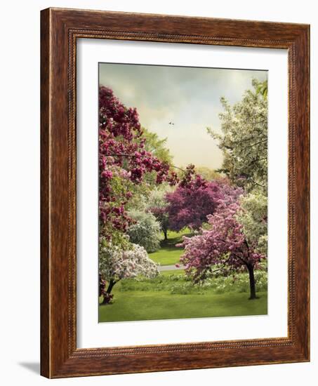 Cherry Tree Grove-Jessica Jenney-Framed Giclee Print