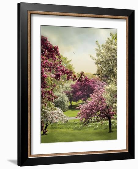 Cherry Tree Grove-Jessica Jenney-Framed Giclee Print