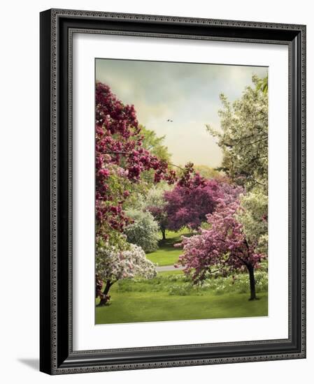 Cherry Tree Grove-Jessica Jenney-Framed Giclee Print