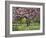 Cherry Tree, in Blossom, Regents Park, London, UK-Georgette Douwma-Framed Photographic Print