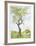 Cherry Tree in Norwood Glen-Fioravanti-Framed Limited Edition