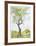 Cherry Tree in Norwood Glen-Fioravanti-Framed Limited Edition