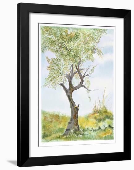 Cherry Tree in Norwood Glen-Fioravanti-Framed Limited Edition