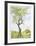 Cherry Tree in Norwood Glen-Fioravanti-Framed Limited Edition