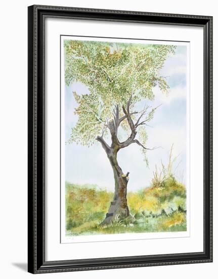 Cherry Tree in Norwood Glen-Fioravanti-Framed Limited Edition