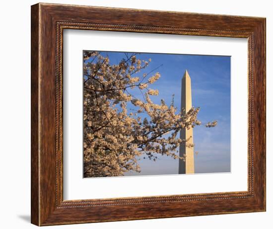 Cherry Tree near Washington Monument-Joseph Sohm-Framed Photographic Print