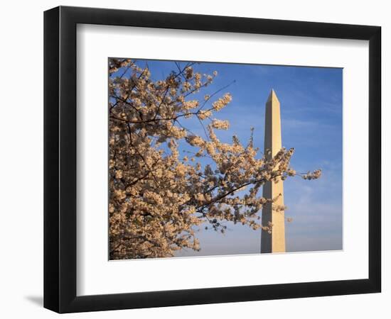 Cherry Tree near Washington Monument-Joseph Sohm-Framed Photographic Print