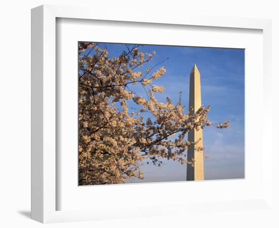 Cherry Tree near Washington Monument-Joseph Sohm-Framed Photographic Print