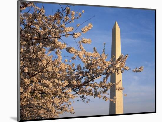 Cherry Tree near Washington Monument-Joseph Sohm-Mounted Photographic Print