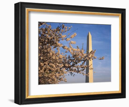 Cherry Tree near Washington Monument-Joseph Sohm-Framed Photographic Print