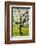 Cherry Trees, Blossom, Spring-Herbert Kehrer-Framed Photographic Print