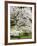 Cherry Trees Blossoming in the Spring, Washington Park Arboretum, Seattle, Washington, USA-Jamie & Judy Wild-Framed Photographic Print