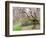 Cherry Trees Blossoming in the Spring, Washington Park Arboretum, Seattle, Washington, USA-Jamie & Judy Wild-Framed Photographic Print