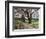 Cherry Trees on University of Washington Campus, Seattle, Washington, USA-Charles Sleicher-Framed Photographic Print